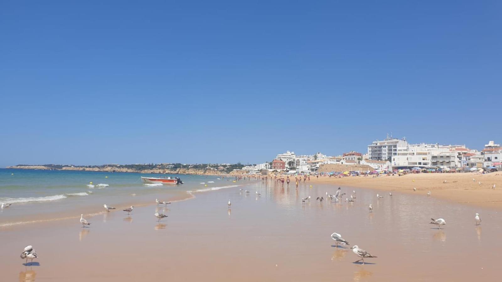 Villa Algarve Alcantarilha Zewnętrze zdjęcie